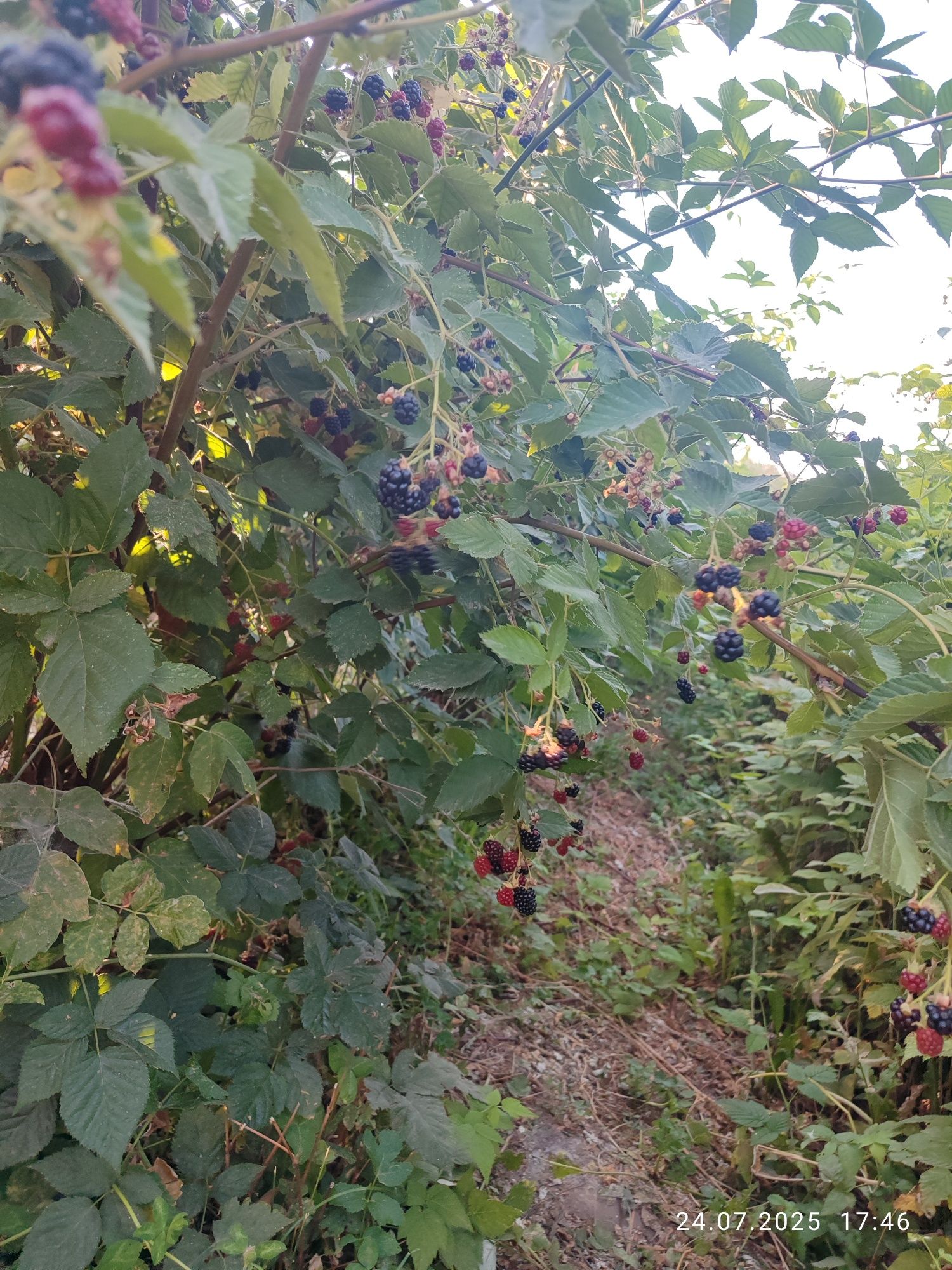 Продам дом в п Балтабай