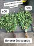 Веники березовые в любом количестве