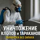 Дезинфекция Уничтожение Клопов Тараканов и Всех Насекомых