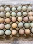 Продам инкубационное  яйцо кур брама кохинхин доминант