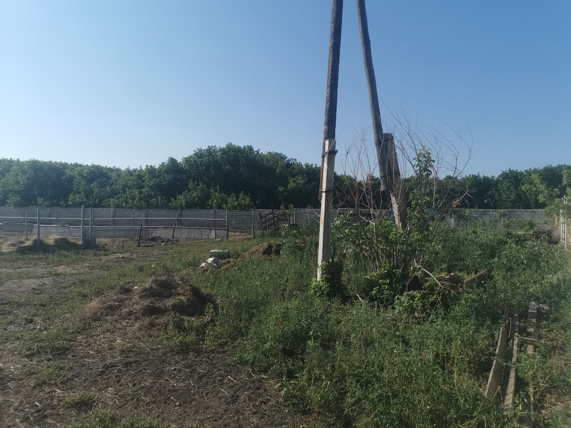 Продам базу кх в городе актобе п. Сазда