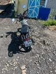 Alpha vortex 110cc