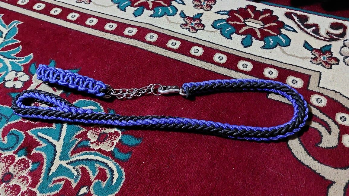 Ошейник и поводок