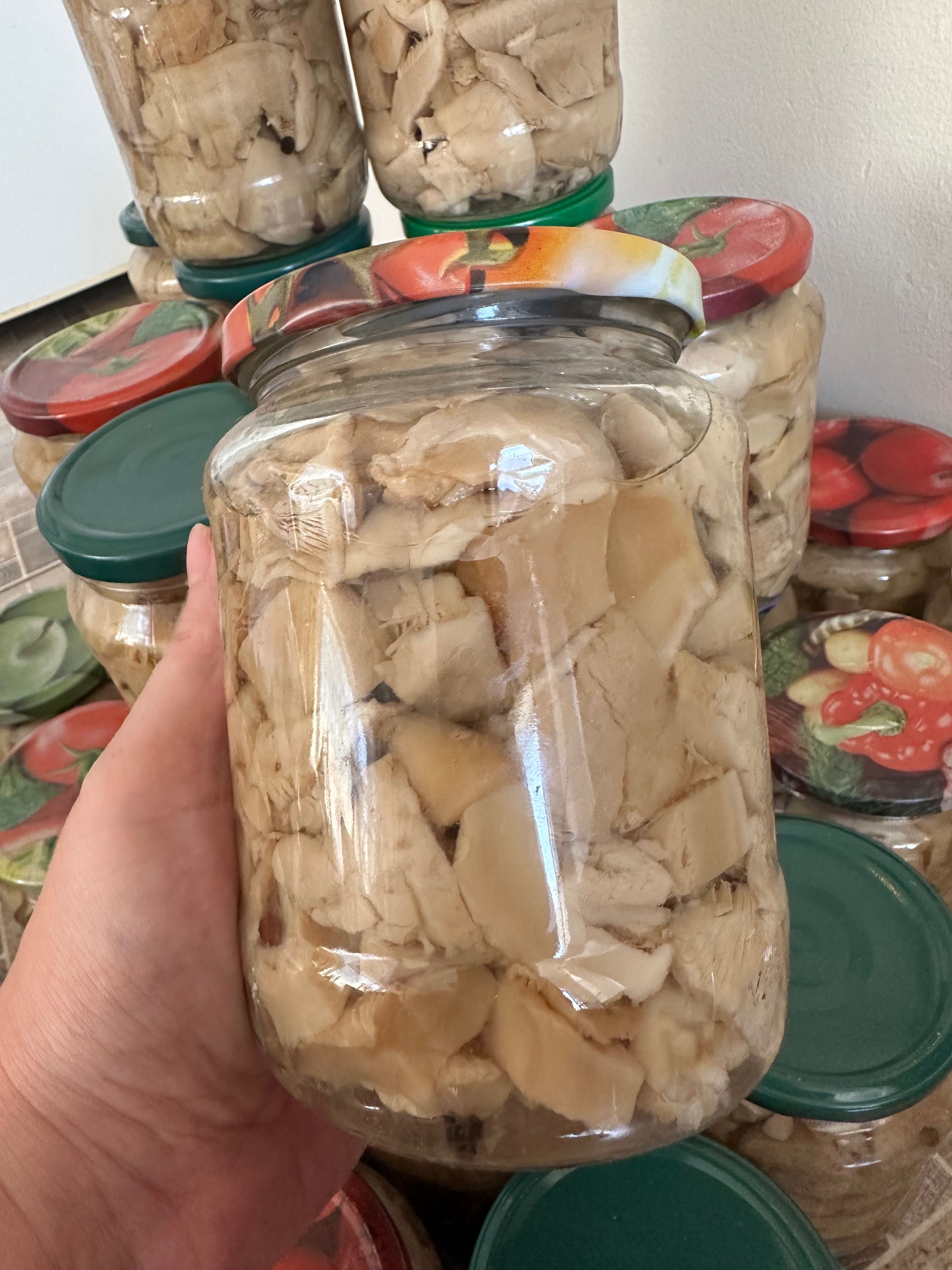 Белые степные грибы маринованные