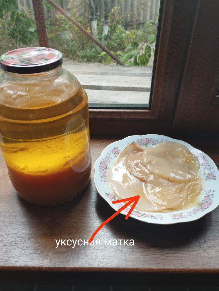 Яблочный уксус домашний. Из местных сортов яблок (апорт, золотой прево