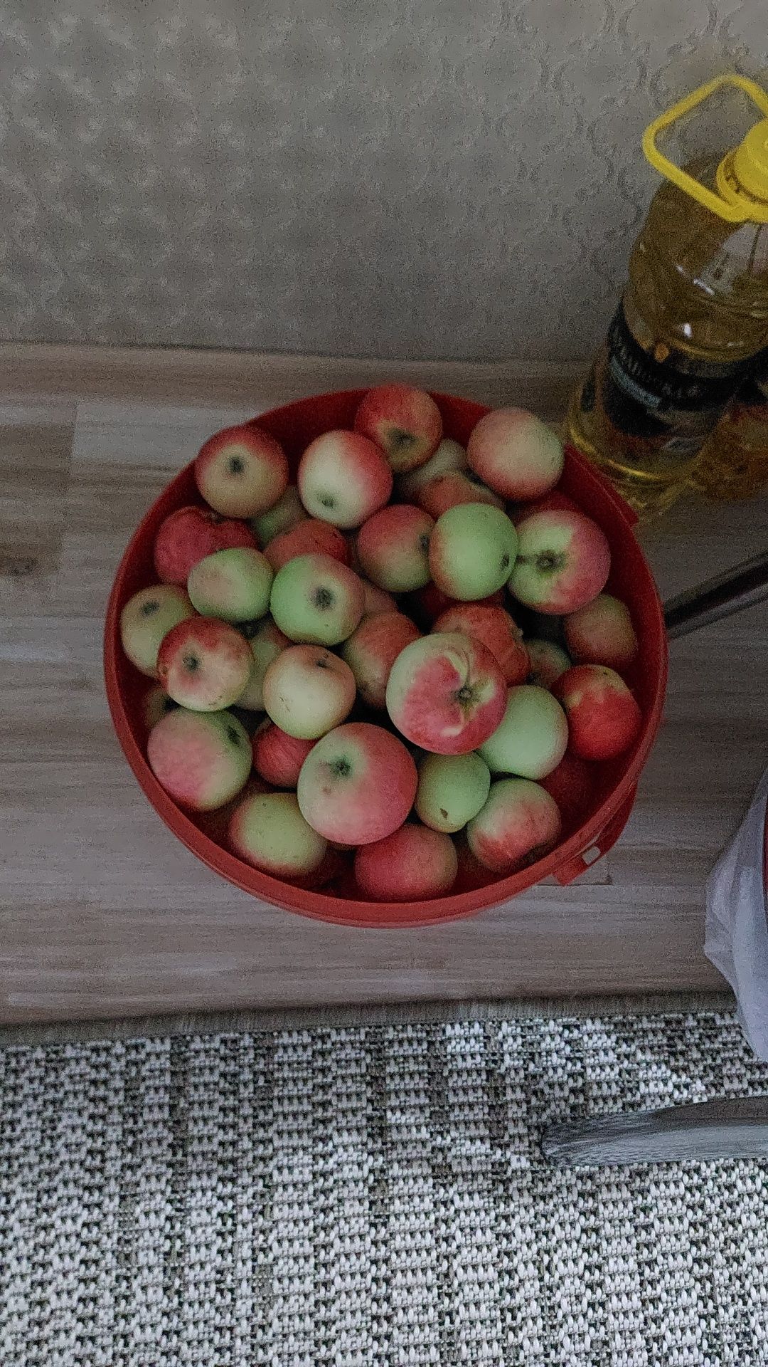 Продам садовые яблоки