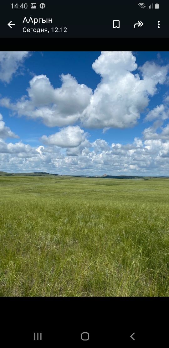 Продам крестьянское хозяйство