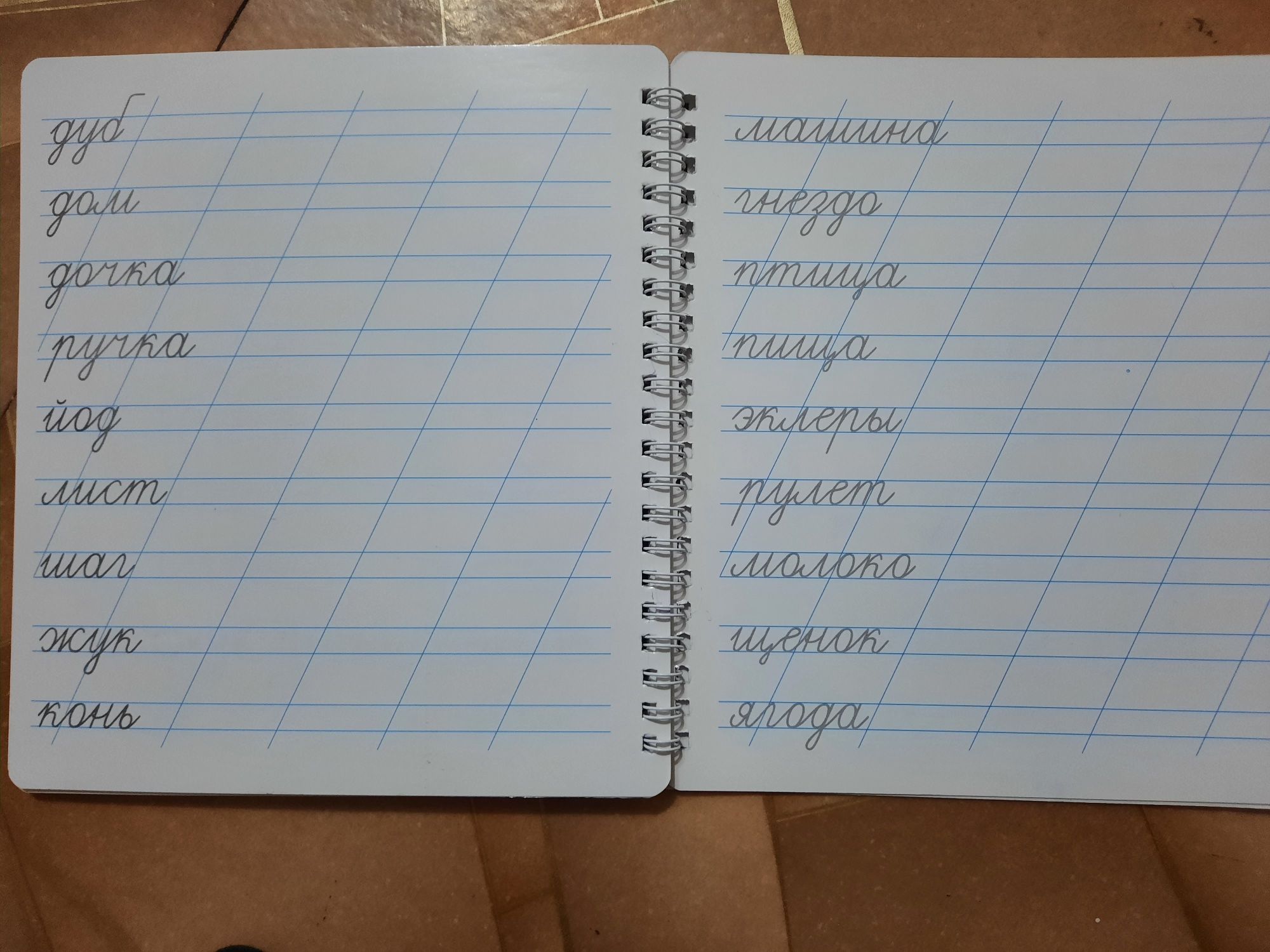 Пропись многоразовая, касса букв и цифр