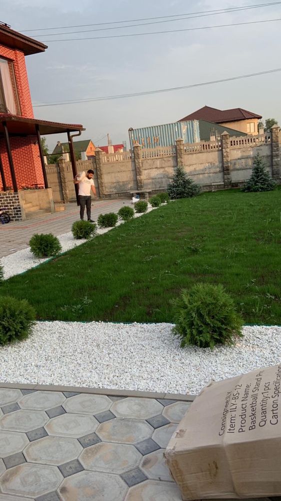 Автополив профессиональный посев газона