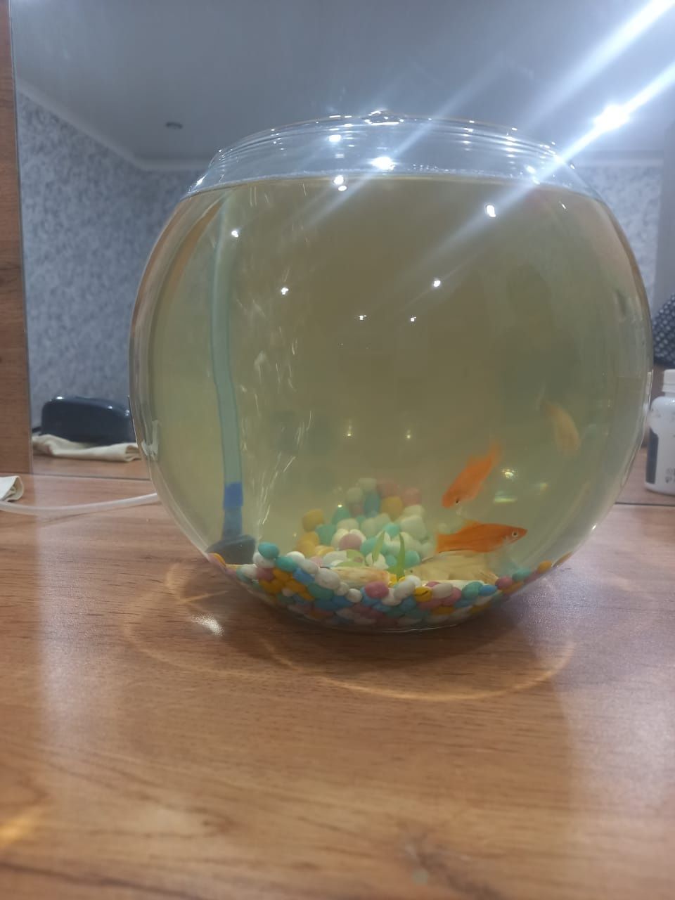 Срочно продам аквариум