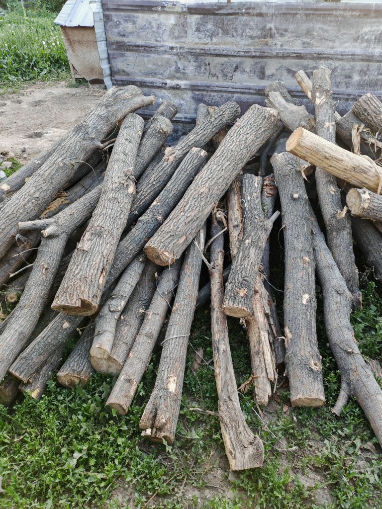Продам сухие дрова, разных деревьев