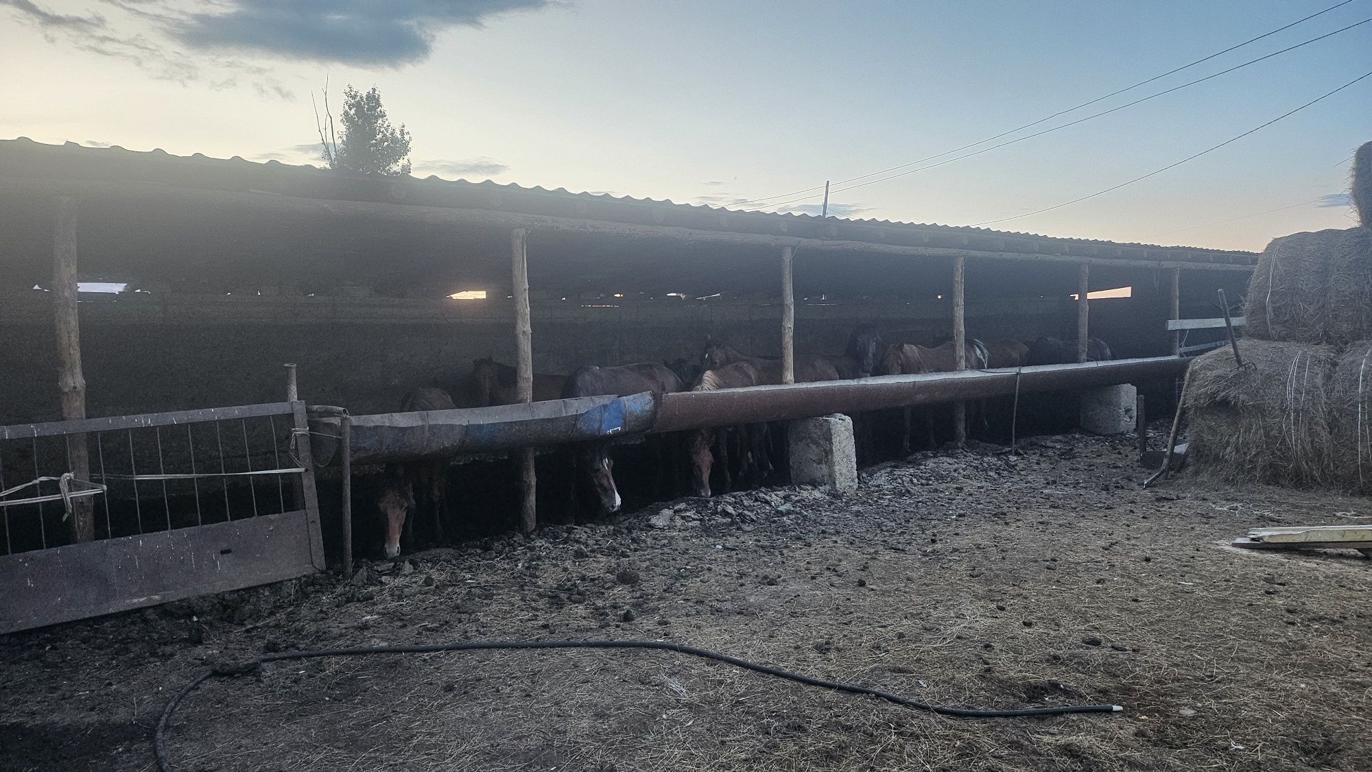 Бизнеске Үй қора жайымен, жер 4400га, 2 уйір жылқы.