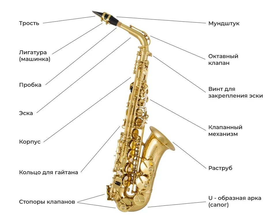 Саксафон (Альт)