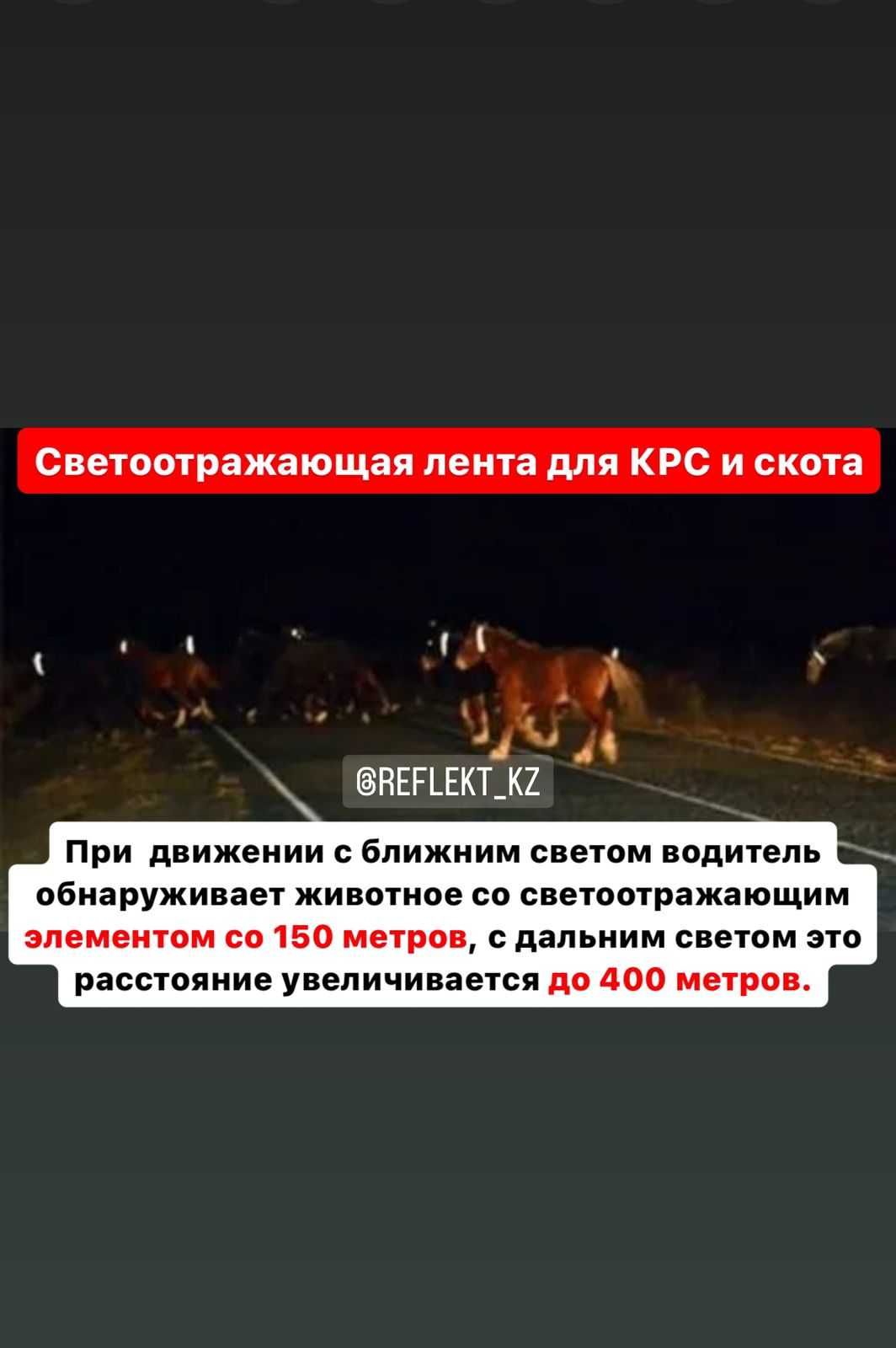 Светоотражающая лента для вашего скота Доставка по РК