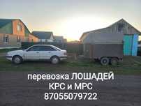 Перевозка Лошадей КРС и МРС