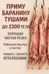 Приму Баранину тушами до 2300 тнг/кг