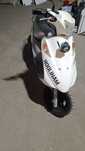 Продам мопед SUZUKI Address V125G,  125куб