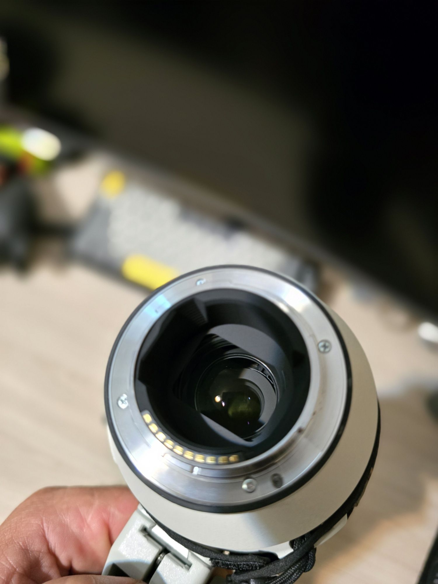 Sony FE 200-600mm f5.6-6.3 G OSS