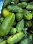 Продам домашние дачные огурцы