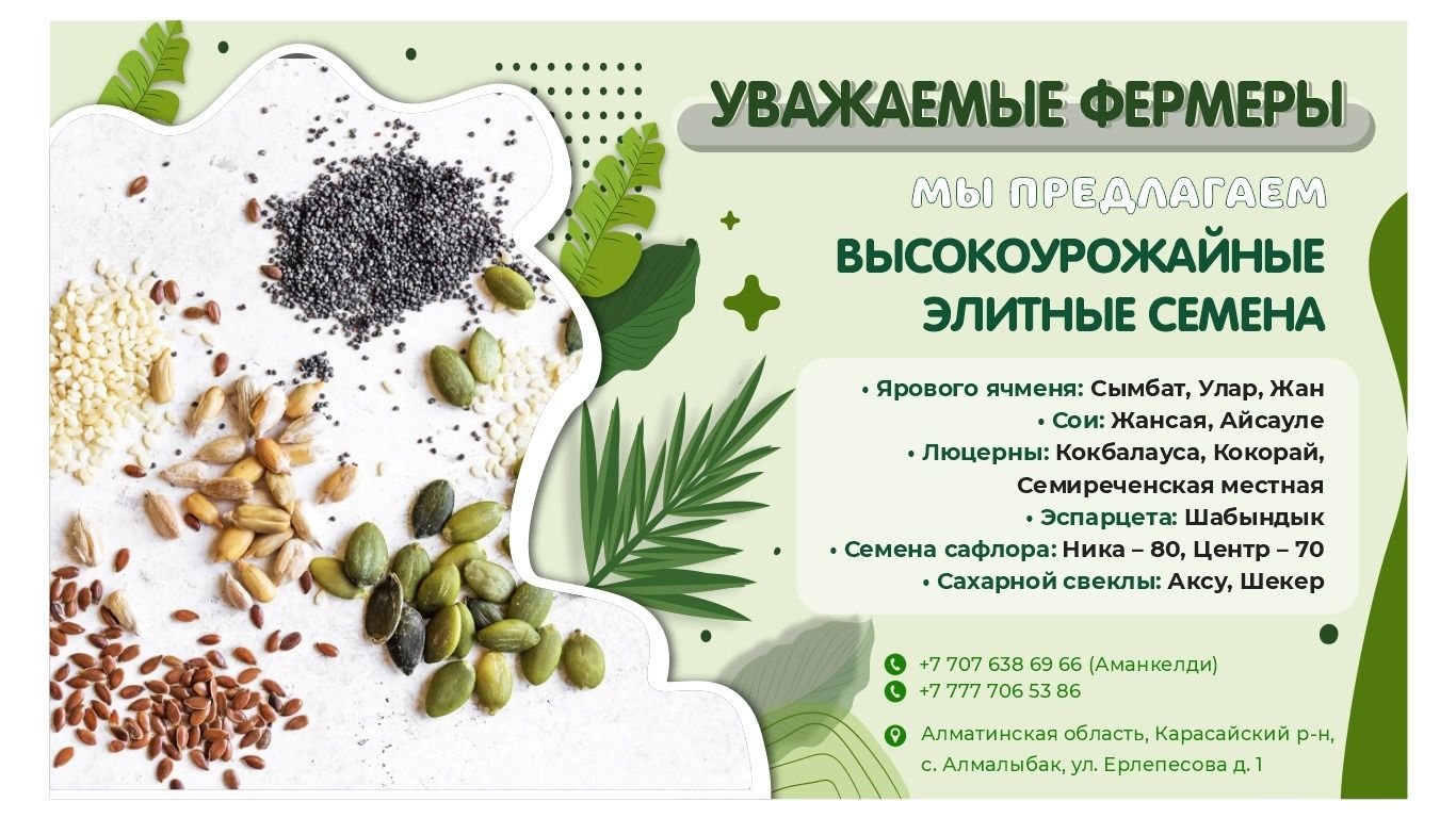 ГРАФИЧЕСКИЙ ДИЗАЙНЕР | Разработка логотипов | Меню | Обложки |