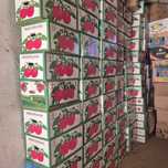 Продам коробки помидоры и другие