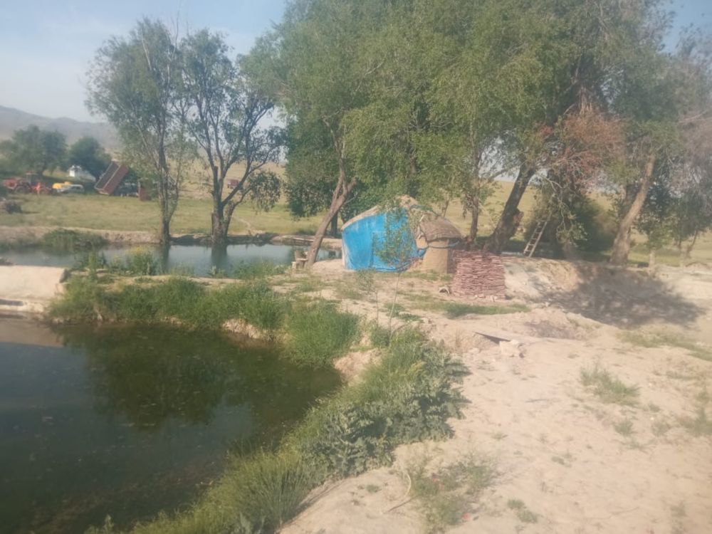 Балық , мал шаруашылығы