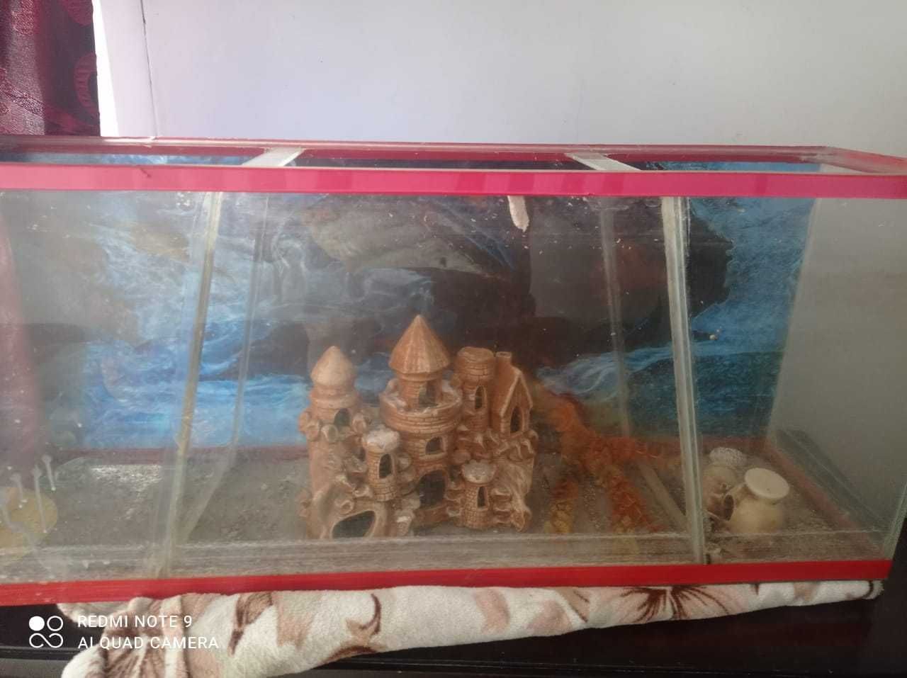 Аквариум                            .