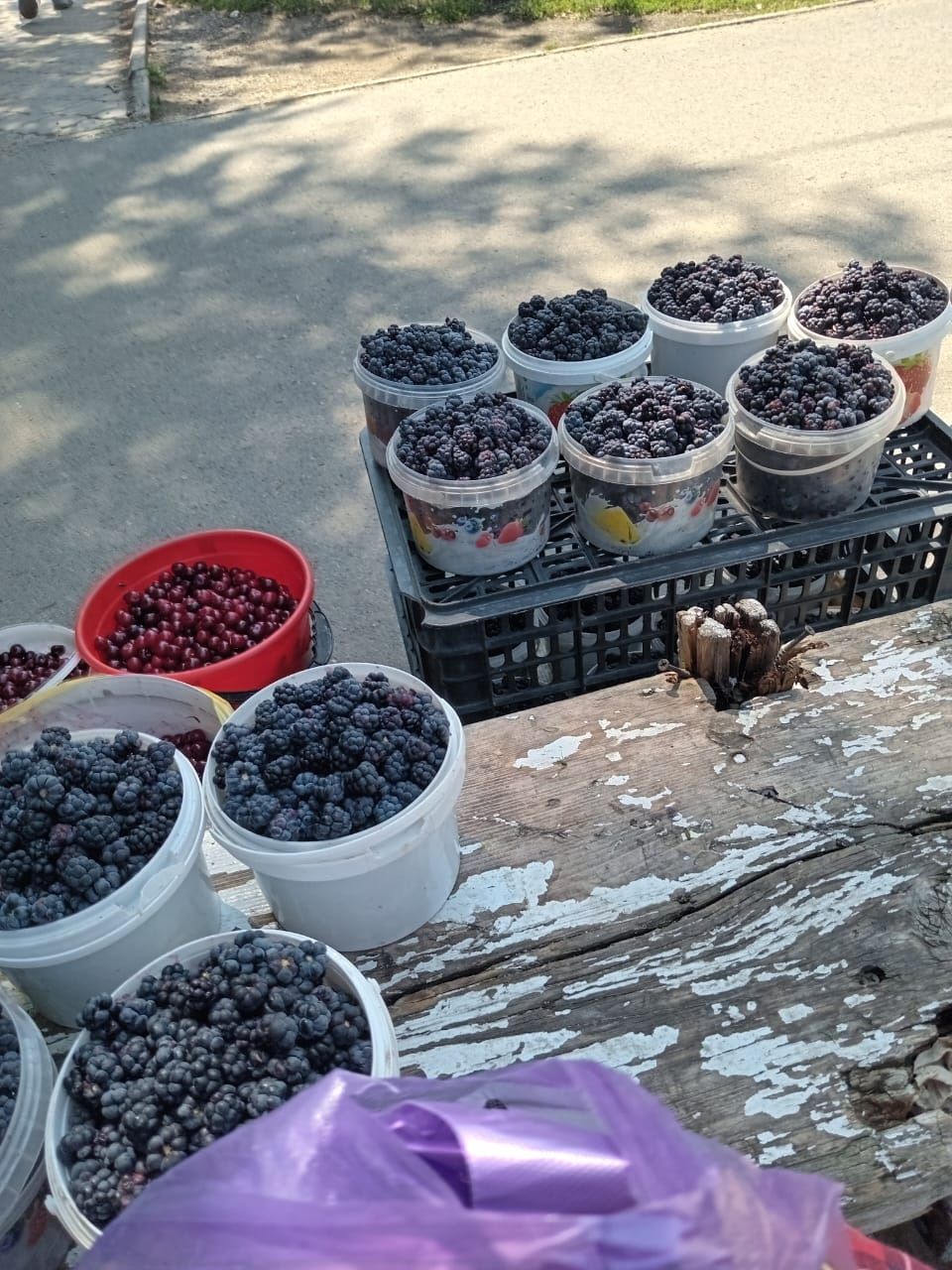 Продам ежевику свежую