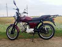 Альфа Рейсер 110сс