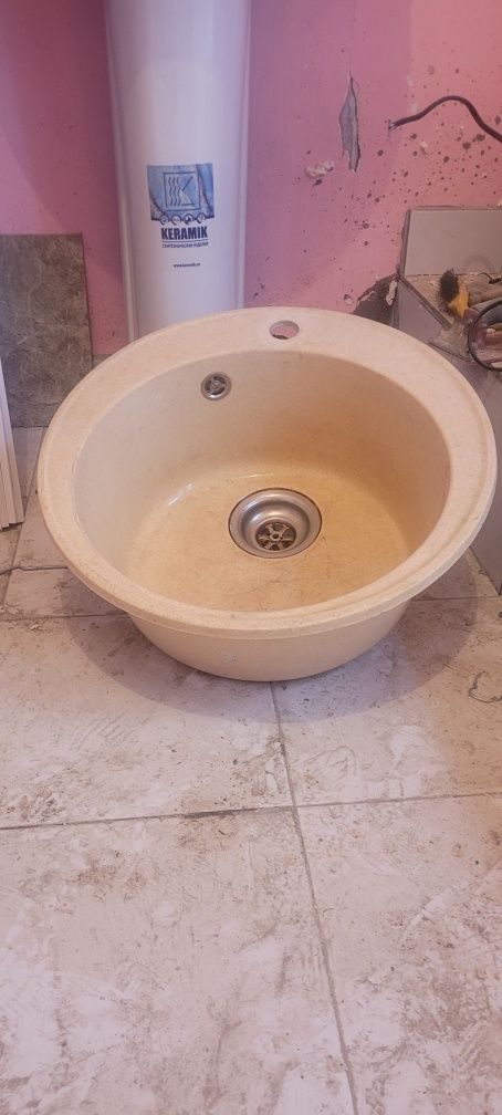 Раковины тюльпан и круглая