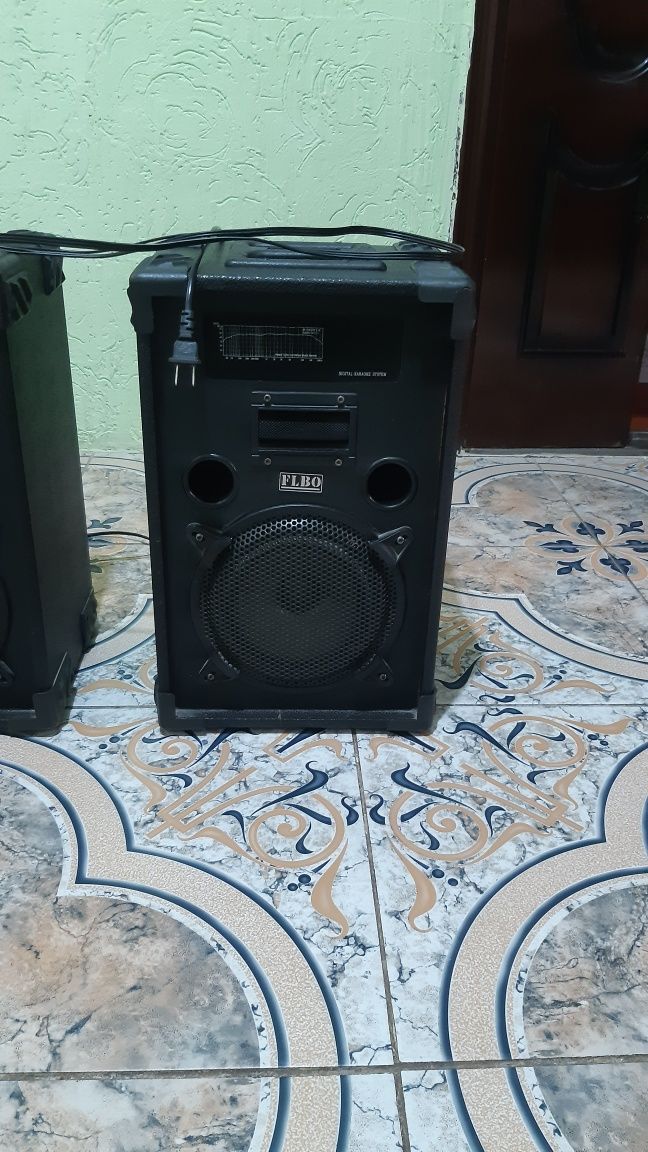 Калонка 2 штуки..
