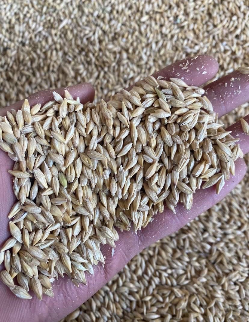 Продам разное зерно отруби дроблёнку