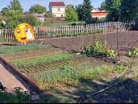 Продам дачу общество 'Труд"