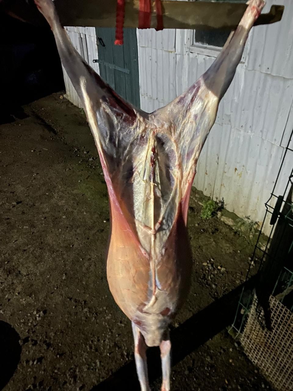 Продам на мясо разных