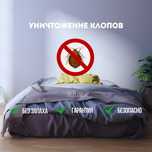 Дезинфекция от клопов. Быстро. Безопасно и эффективно