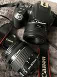 СРОЧНО Продам. камера( фотоаппарат )Canon 250D