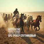 GPS для лошадей Алматы трекер джпс гпс жпс спутниковый животных