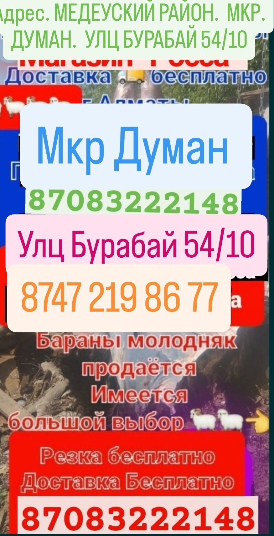 Баран токтушки продаю Г.АЛМАТЫ Мкр Думан улц Бурабай 54/10