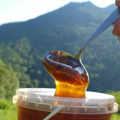 Бал (мёд)  Жыланды балы