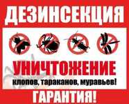 Дезинфекция дезинсекция дератизация уничтожение