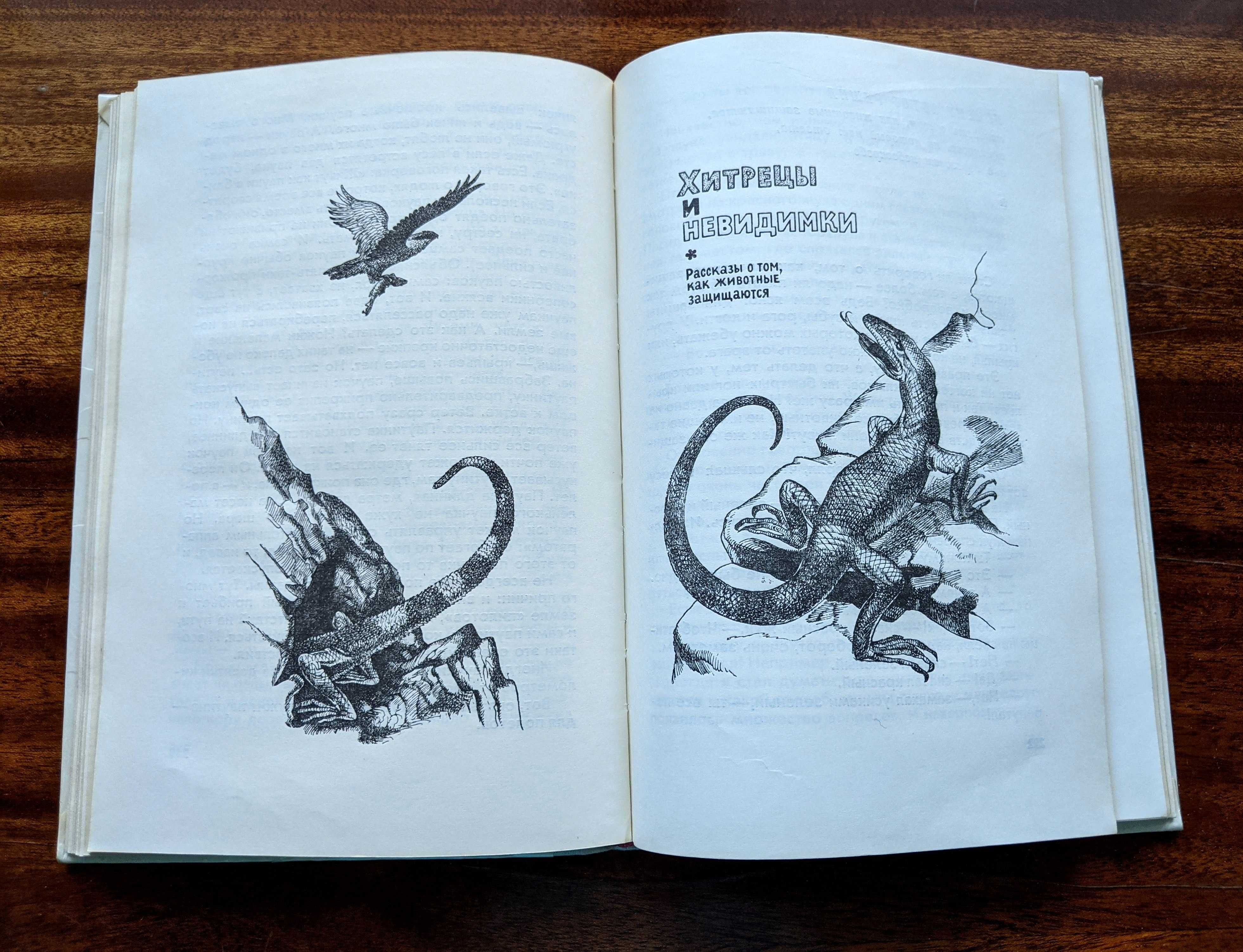 Детская книга-энциклопедия о животных «Если посмотреть вокруг»