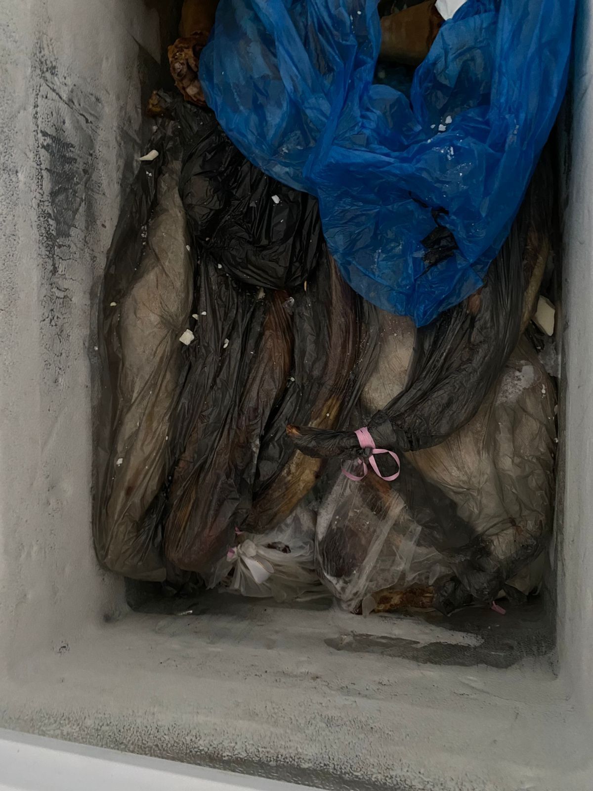 Продам морозильник, вместе с согымом