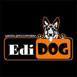 Обучение собак кинолог дрессировщик овчарка школа дрессировки