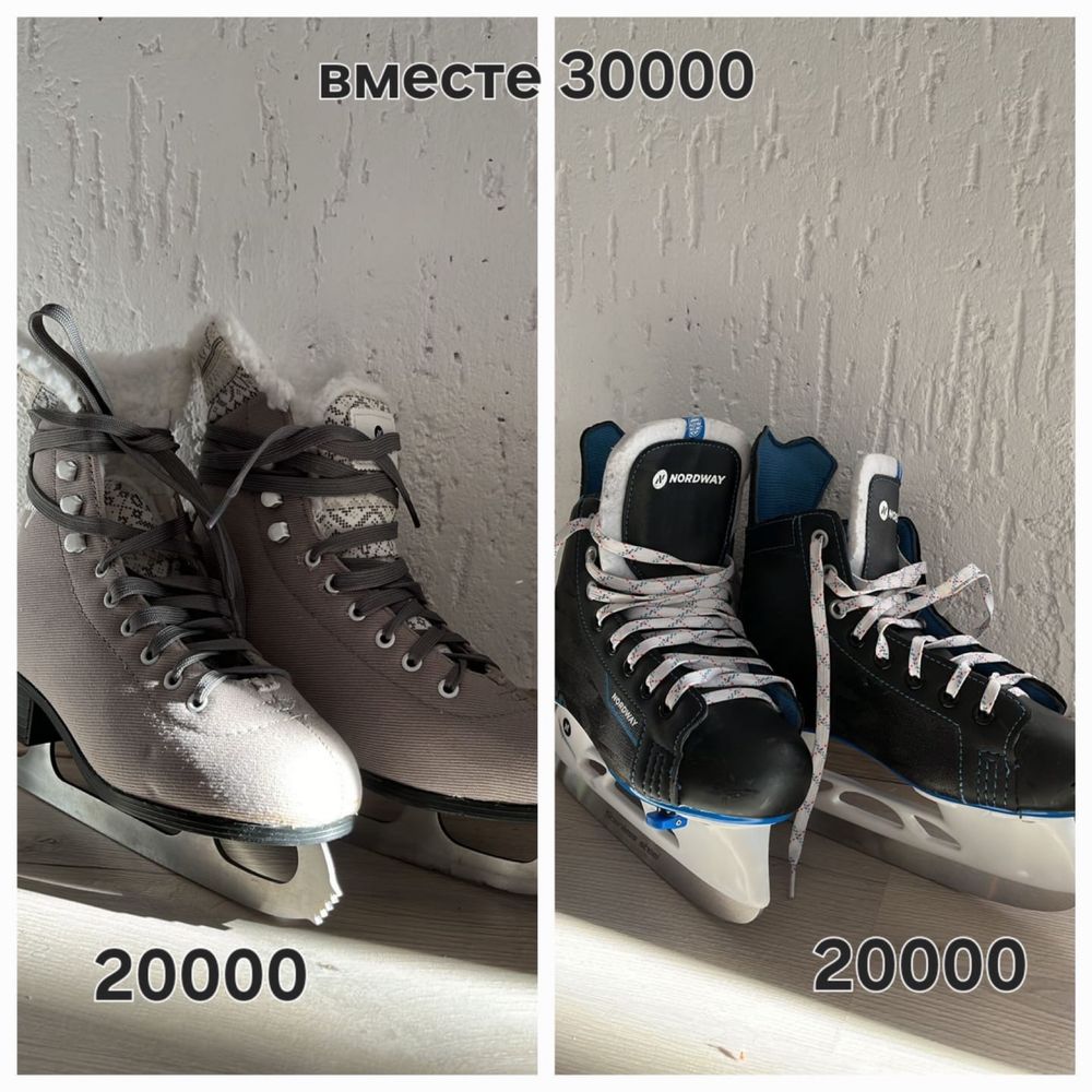 Коньки…………………………