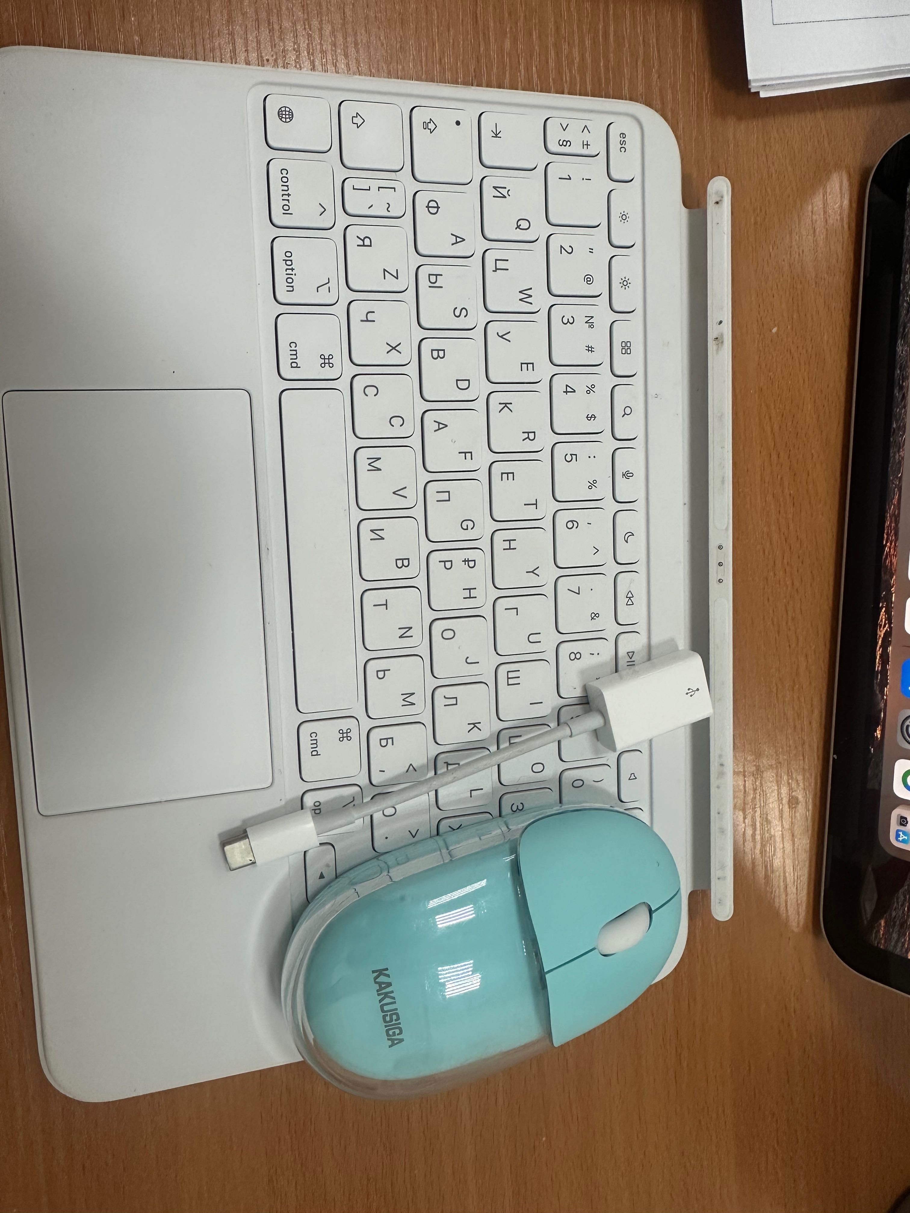 Ipad ( не эйр) 10 поколения