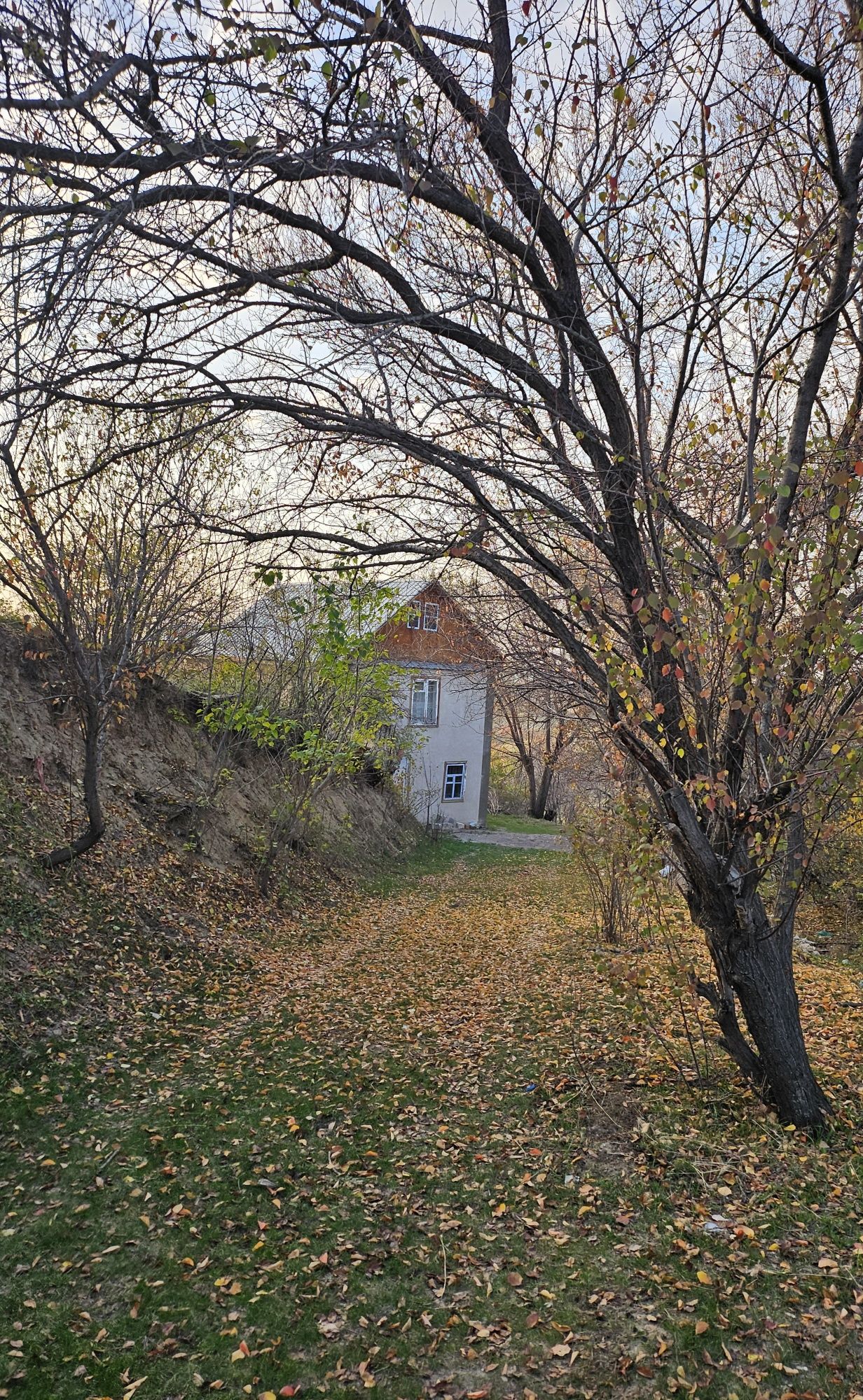 Продам дачу в п.Турар