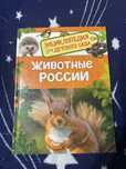 Детская книжка Животные России Срочно