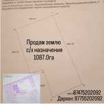 Продам землю с/х назначения