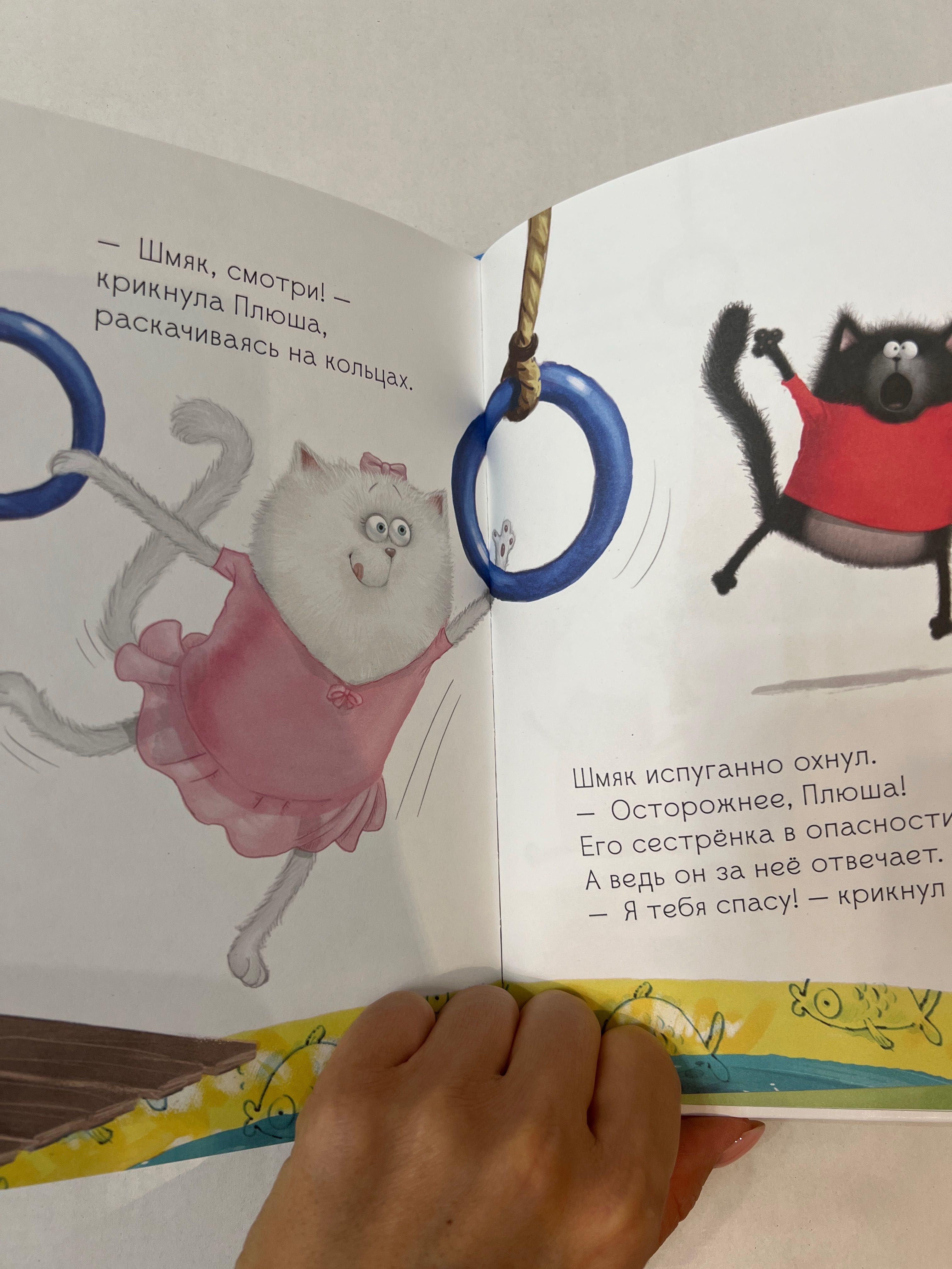 Книга  Котенок Шмяк и Сырник