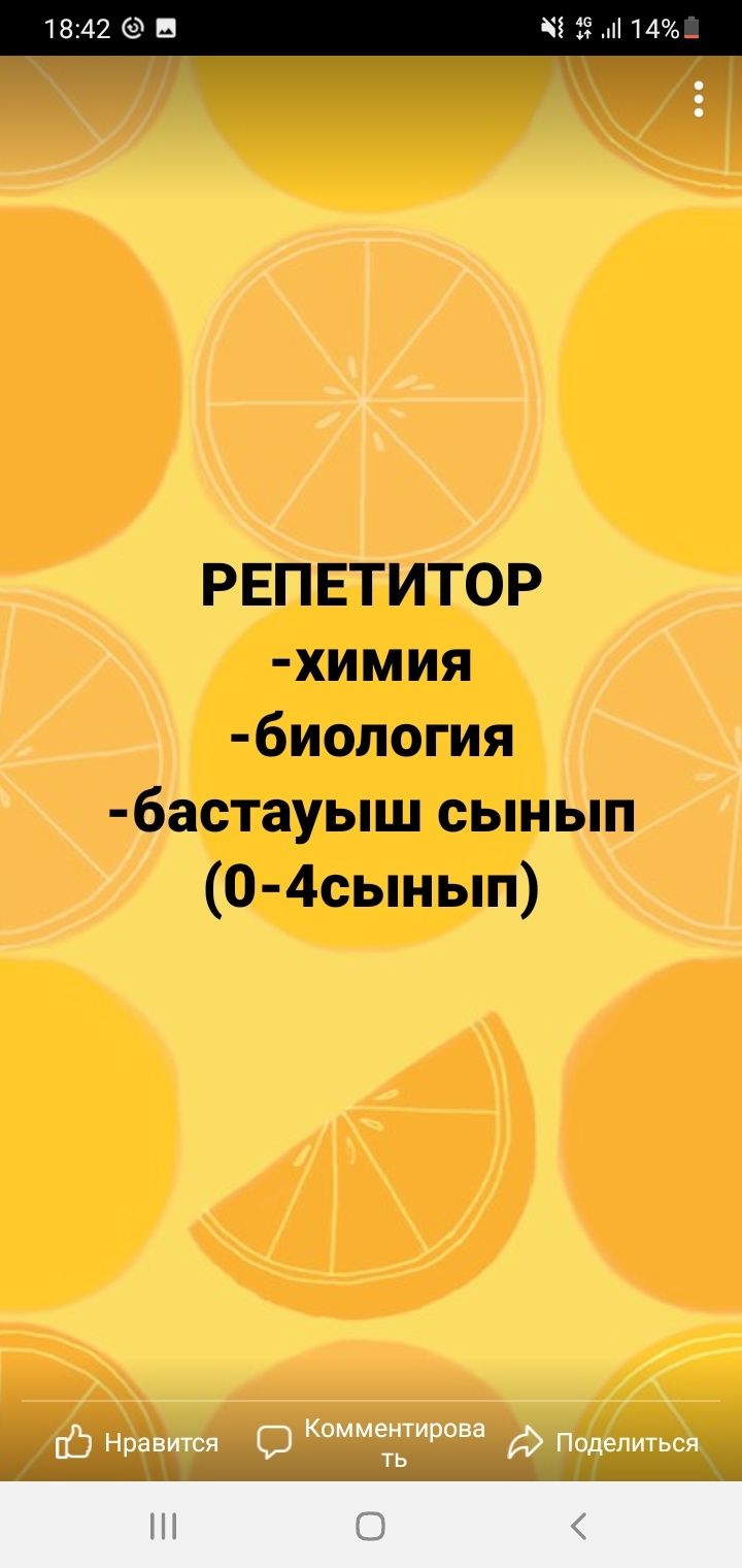 Репетитор! Бастауыш сынып. 0-4сыныптар. Химия биология. 6-11 сыныптар.